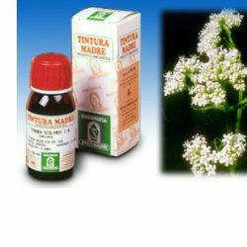 Valeriana 36 Tintura Madre 50ml