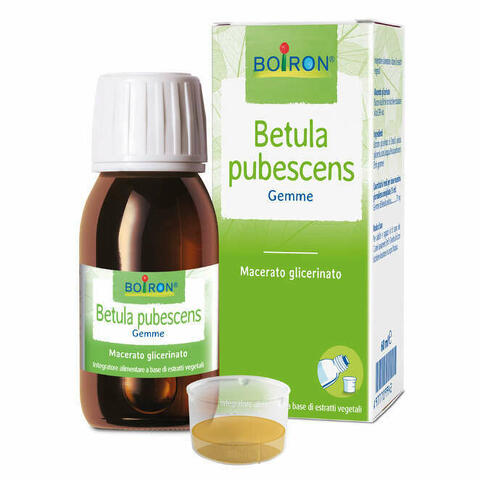 Betula Pubescens Macerato Glicerico 60ml Int