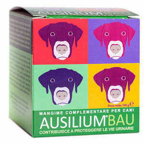 Ausilium Bau 100 G