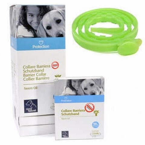 Protection Collare Barriera Per Cane