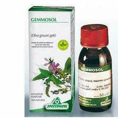 Gemmosol 3 Ippocastano 50ml