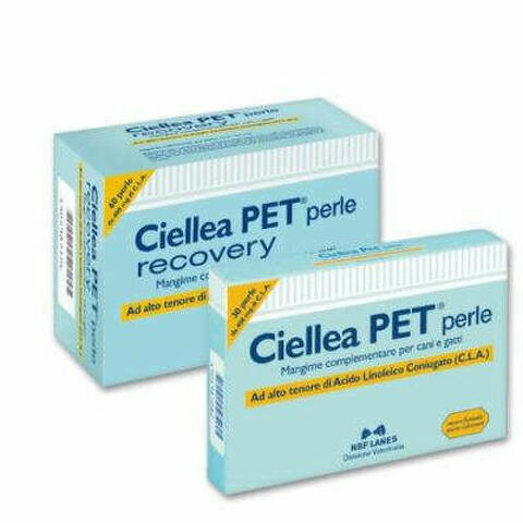 Ciellea Pet Recovery 60 Perle