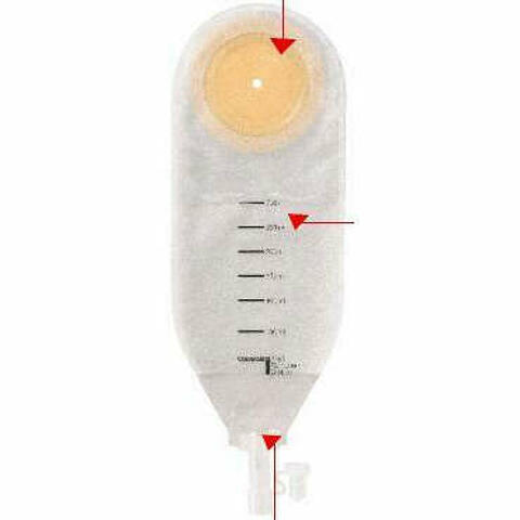 Sacca Per Drenaggio Delle Ferite Sterile Coloplast Capacita' Midi 300ml 10 Pezzi Articolo 2215