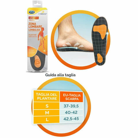 Scholl Plantare Lombare L 2 Pezzi