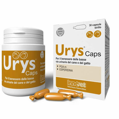 Urys Caps 30 Capsule