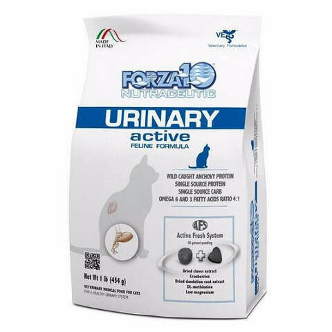 Urinary Active Gatto 454 G