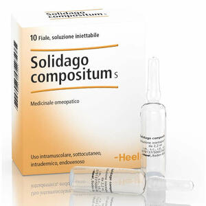  - Heel Solidago Compositum 10 Fiale Da 2,2 Ml L'una