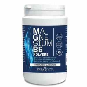 Erba Vita - Magnesium B6 Polvere 200 G