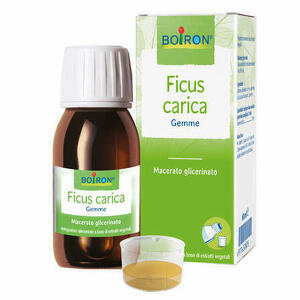 Boiron - Ficus Carica Gemme Macerato Glicerinato 60ml Int