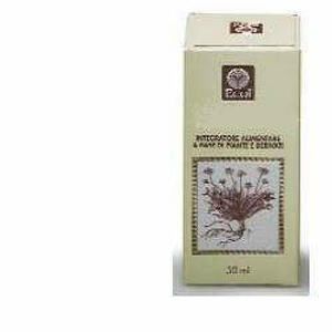 Ecol Sas - Tiglio Gemme Estratto Analcolico 50ml