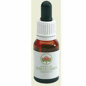 Green Remedies - Grey Spider Flower Australian 15ml