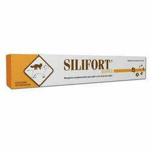  - Silifort Pasta Os Siringa 30 G