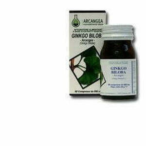  - Ginkgo Biloba 60 Capsule 500mg