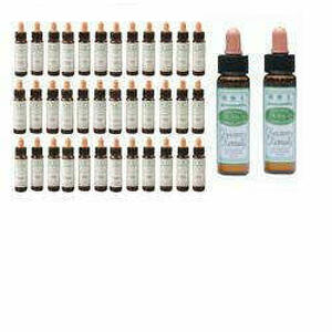  - Ainsworths Flower Remedy Set40