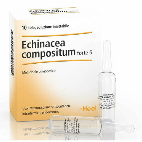 Heel Echinacea Composta S Forte 10 Fiale