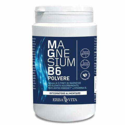 Magnesium B6 Polvere 200 G