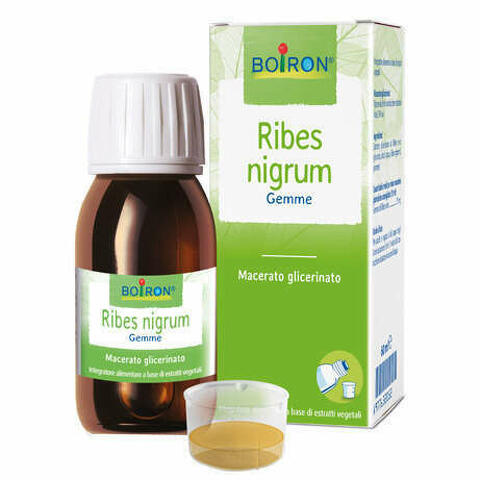 Ribes Nigrum Macerato Glicerico 60ml Int