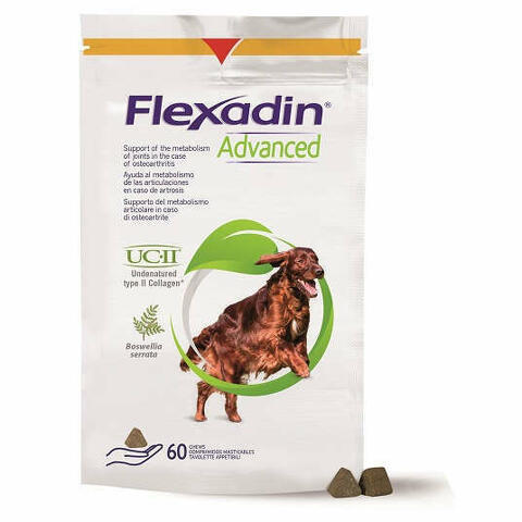 Flexadin Advanced Cane Tutte Le Taglie 60 Tavolette Appetibili