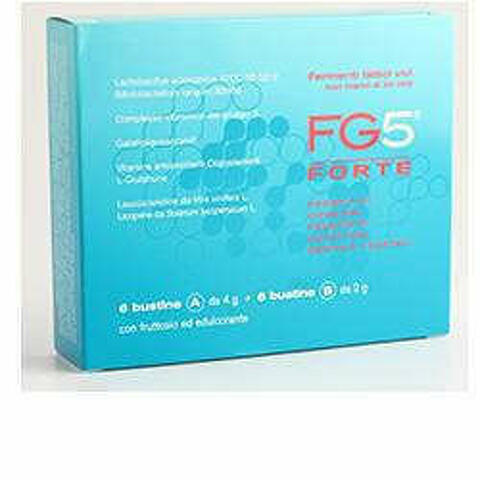 Fg5 Forte 6 Bustineine