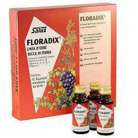 Floradix Ferro 10 Flaconcini 20ml