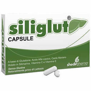 Shedir Pharma - Siliglut 20 Capsule