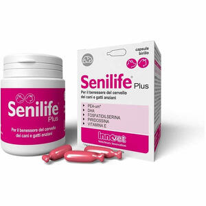  - Senilife Plus 60 Capsule