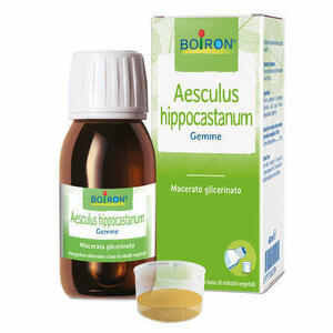  - Aesculus Hippocastanum Macerato Glicerico 60ml Int