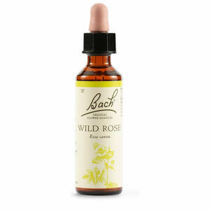  - Wild Rose Bach Orig 20ml