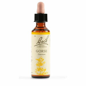 Schwabe - Gorse Bach Orig 20ml