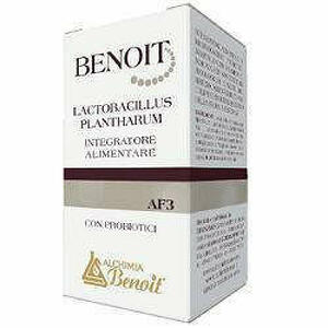 Alchimia Benoit - Benoit Lactobacillus Plantharum 30 Capsule