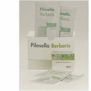  - Pilosella-berberis 30 Bustineine