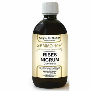  - Gemmo 10+ Ribes Nero 500ml Liquido Analcolico